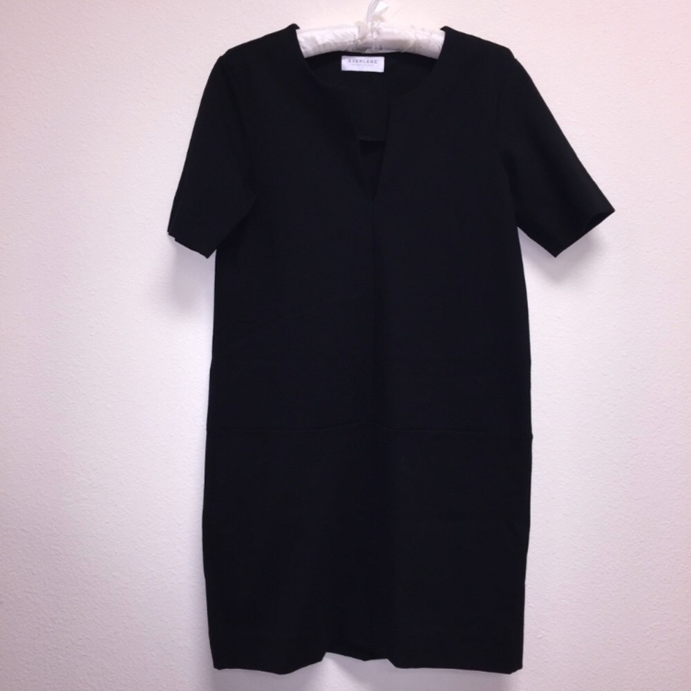 Everlane dress